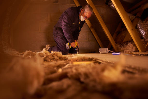 Best Insulation Installation Services in Adamsville, TN